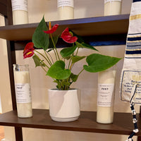 Pray Candle - Unscented - Firm Foundation 3:11